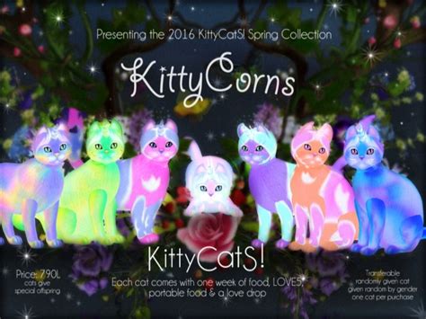 KittyCatS! News